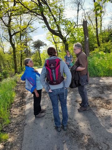 Mehrere Wanderer stehen am Waldweg und sprechen miteinander